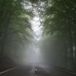 Co je medvědí trh a jak se na něj připravit